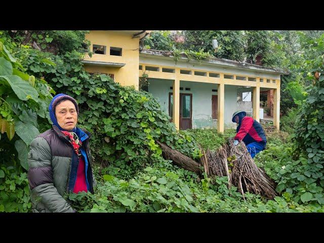 Clean Abandoned House Full transformation Cut overgrown grass to clean the garden - Clean up 91