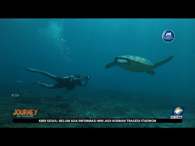 Menyelam Sambil Menikmati Panorama Bawah Laut di Gili Trawangan