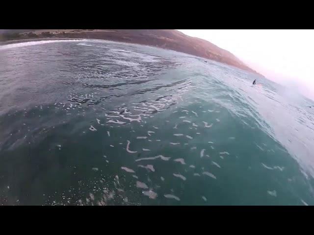 #leocarrillo #povsurf #surfer #surfing #fun #malibu #skateboard #snowboard #action #sorta #lol