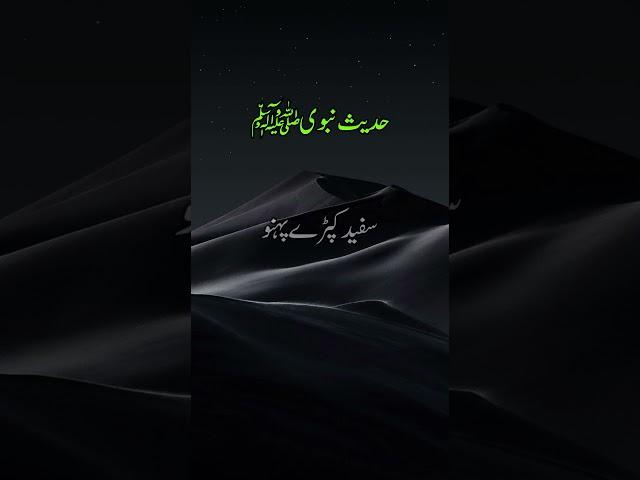 Hadees Sharif | Hadees Pak | Hadees | #hadees #status #shorts