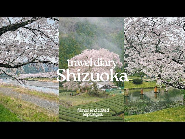 travel diary | Shizuoka  Mizume-zakura, Ieyamagawa Ryokichi Park, Hamamatsu Flower Park & Castle