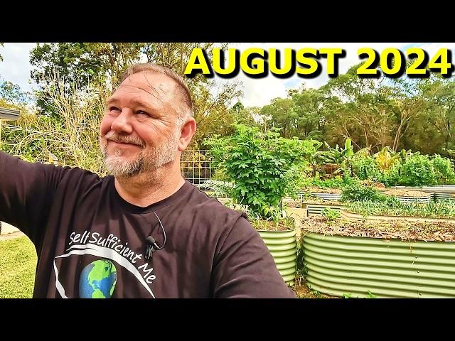 Full Raised Bed Vegetable Garden Tour August 2024