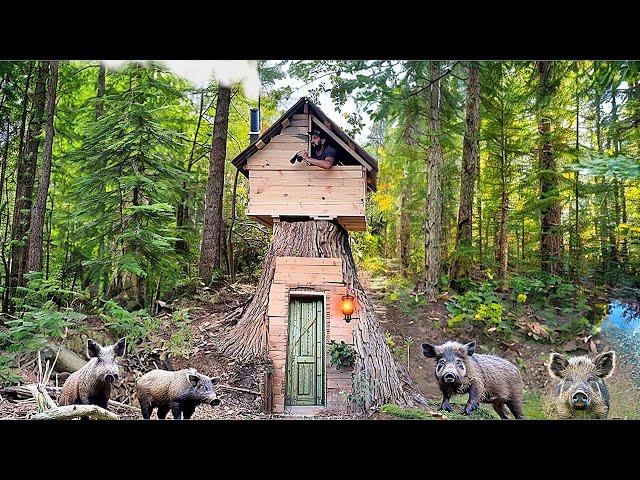 Building a wooden fortress Survival among the wild boars