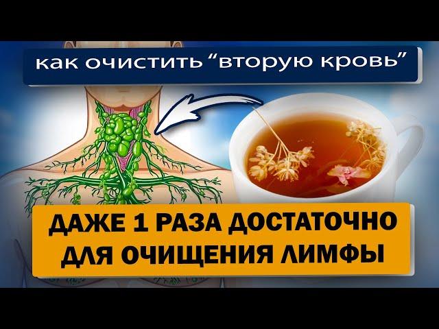 Как очистить ЛИМФУ 1-й заваркой: ушли отеки и вес, вернулась энергия и даже память ...
