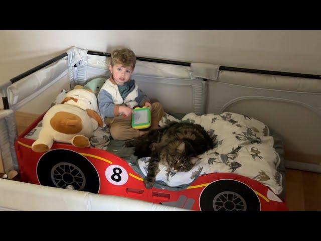 Adorable Baby Boy And His Cat Are Inseparable! (Cutest Ever!!)