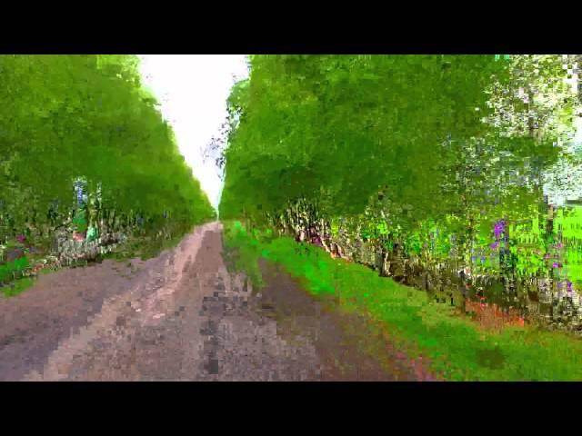 STEADISONYCAM -2015-2020...