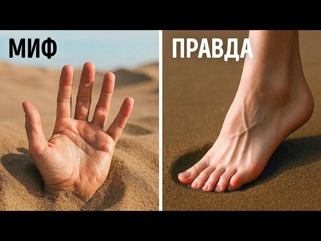 Мы разоблачили ложь, с которой вы выросли | Мифы и факты