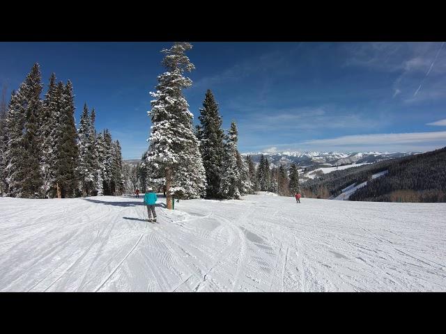 Beaver Creek Summit To Base VIA. Red Buffalo, Cinch, Gold Dust 4K