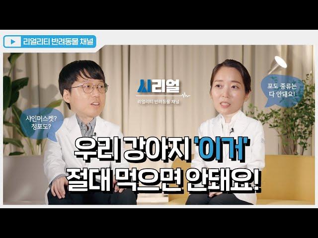 [SNC] 강아지가 반드시 피해야 할 음식은?
