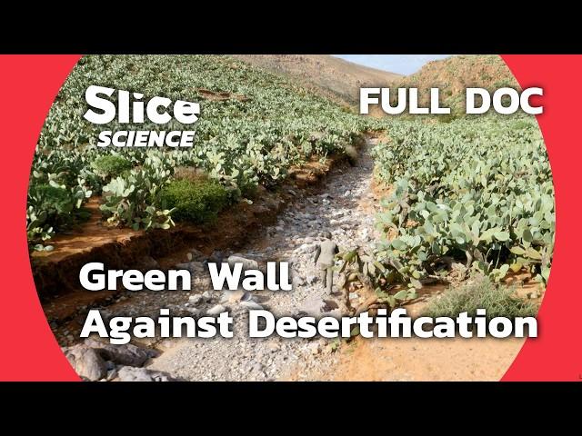 Fighting Sahara Desertification: The Green Wall Project | SLICE SCIENCE | FULL DOC