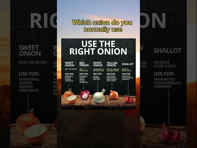 Exploring the Different Types of Onions and Their Culinary Uses