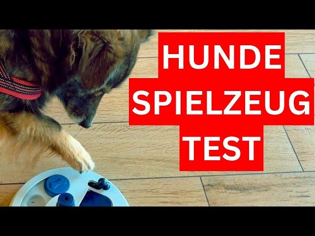 Hundespielzeug Test  Intelligenzspielzeug für deinen Hund