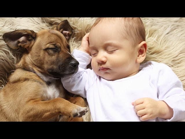 30 Adorable Dog/Baby Moments That Will Melt Your Heart ️