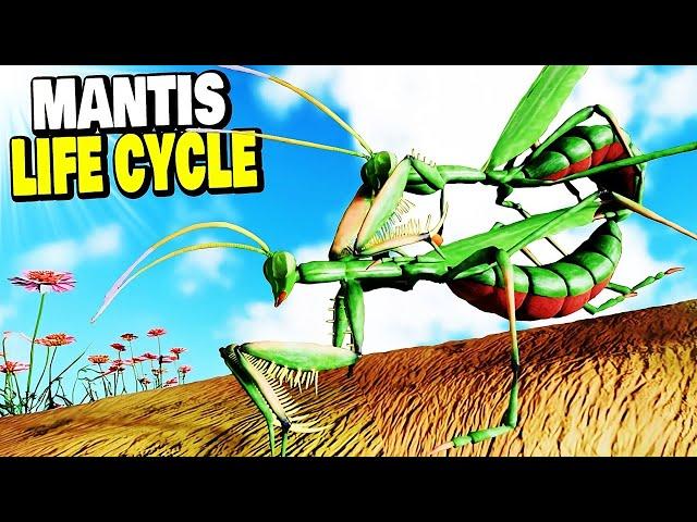 I'VE BEEN MOUNTED! Insanely Realistic Insect Lifecycle Experience..