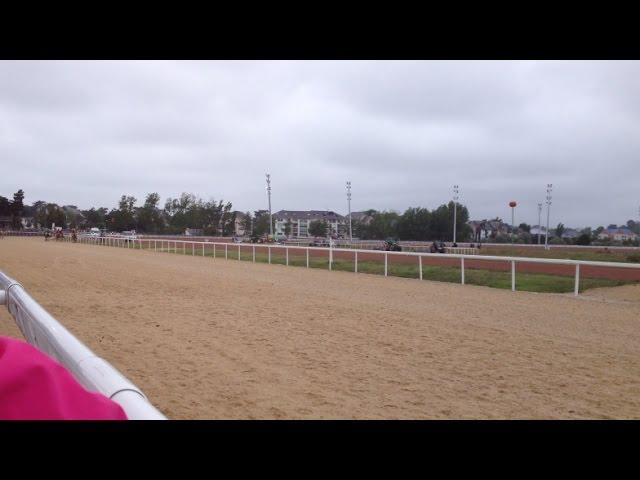 Course de dromadaires à Pornichet