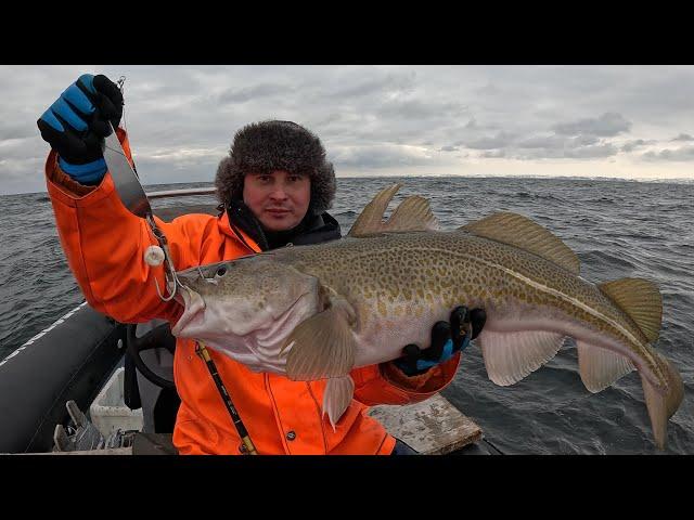 ВЕСЕННЯЯ РЫБАЛКА В БАРЕНЦЕВОМ МОРЕ  2024 / SPRING FISHING IN THE BARENTS SEA