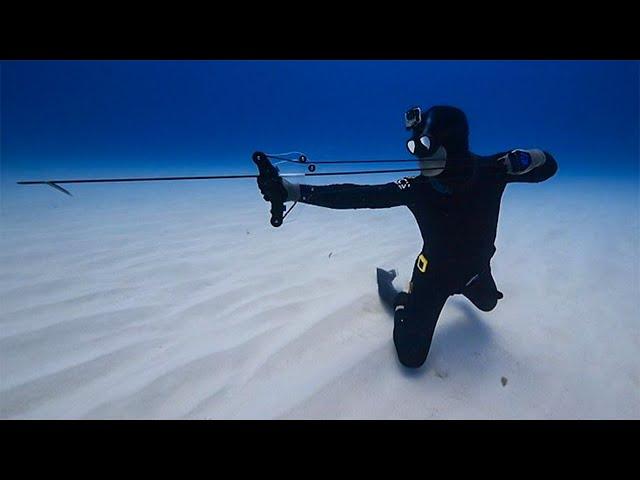 Underwater Archery Spearfishing in The Bahamas (Airplane Found)