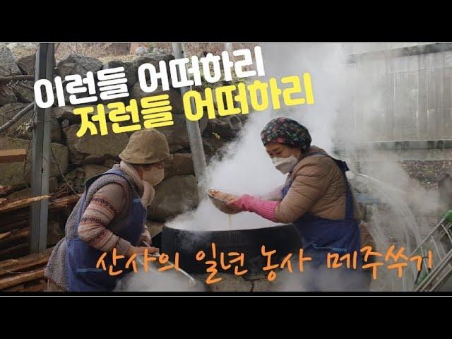 또 한번 선조들의 지혜을 엿 본 전통 메주쑤기