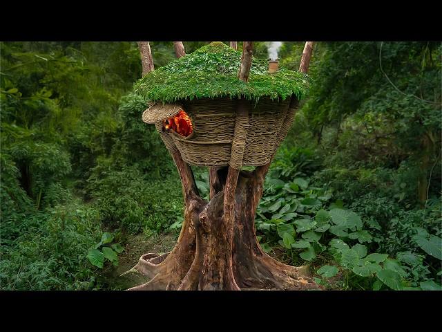 Building a Warm and Cozy Bushcraft Nest for Survival, a Vine House on an Old Tree, Catch and Cook