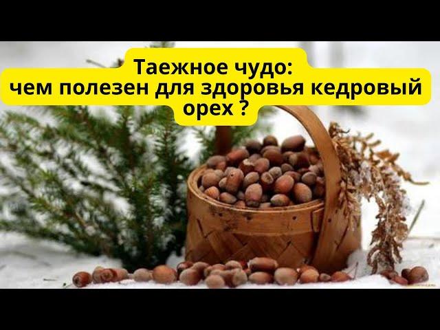 Кедровые орехи. Польза и вред кедовых орешков.