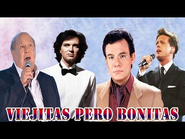 Éxitos Diego Verdaguer, Roberto Carlos, Camilo Sesto, Leo Dan, Julio Iglesias, Jose Jose Y Mas