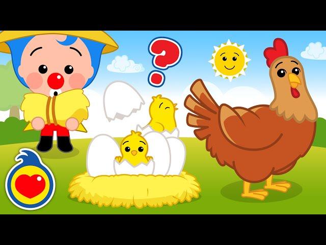 Galinhazinha Pôs Mais Ovos! 🪺  | Música Infantil | Um Herói do Coração ️