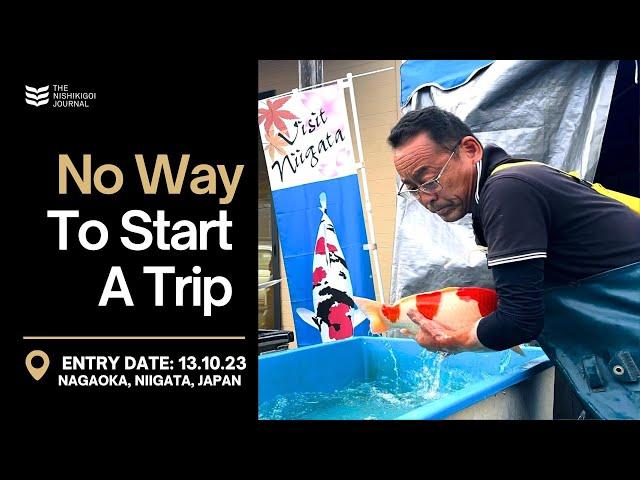 The Biggest Koi Fish You Have Ever Seen? | The Nishikigoi Journal | EP #008