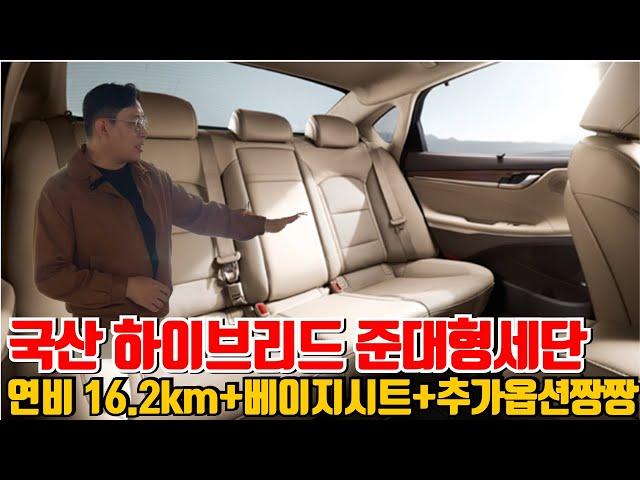 생각보다 잘 만든 국산 하이브리드 세단! 연비 걱정없이 큰 차 타세요