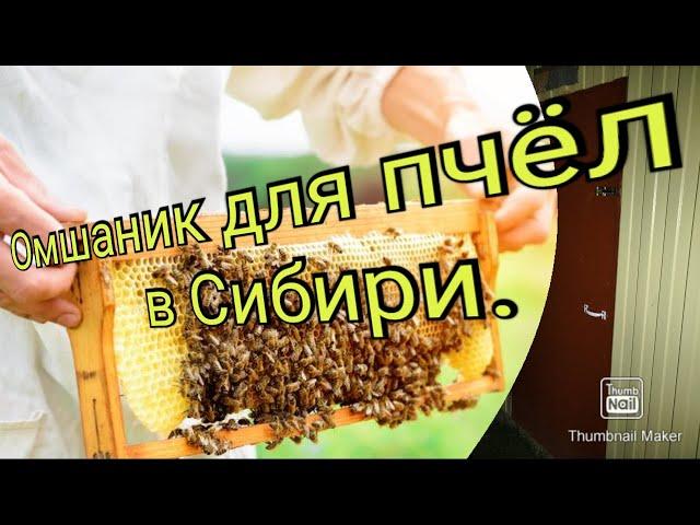 Омшаник для пчел своими руками