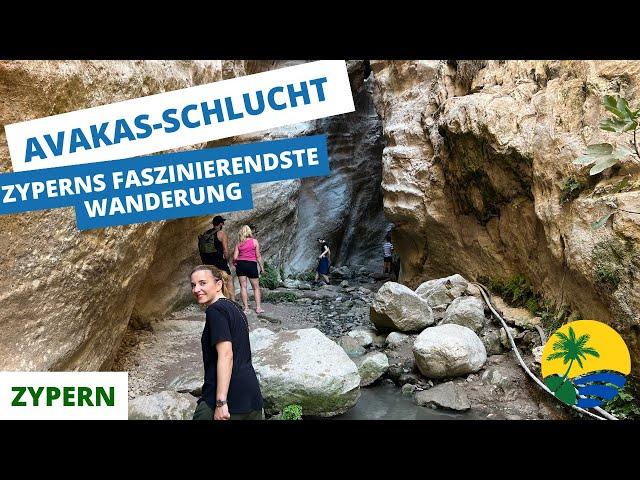 Avakas-Schlucht auf Zypern: Tipps & Highlights für deine Wanderung