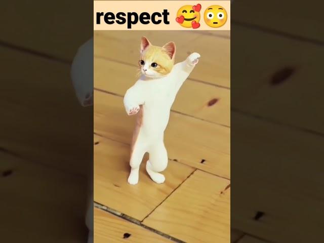 respect;pet #shorts #viralpet #love #funnyvideo