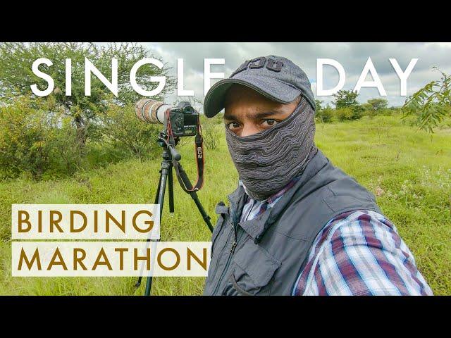 The India YOU'VE NEVER SEEN | Bird Photography Marathon On Location