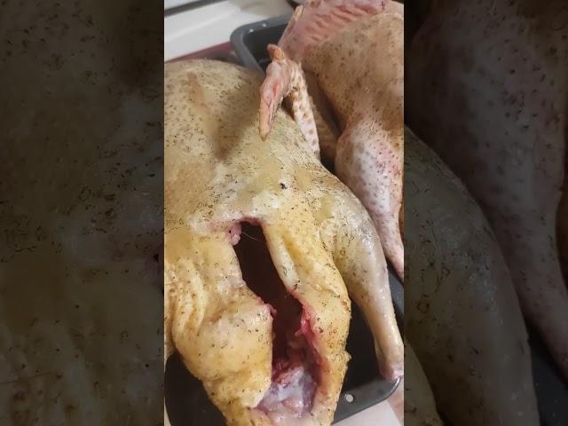 Индоутки...Мясо круглый год