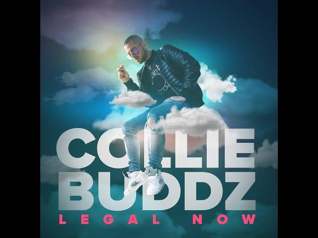 Collie Buddz - Legal Now (Official Audio)