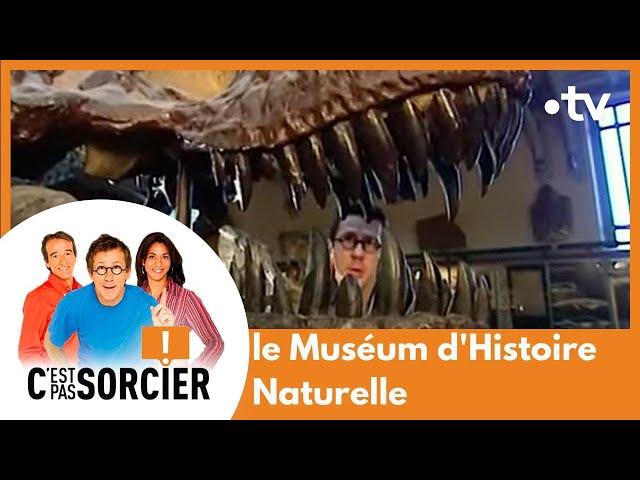 Les coulisses du Muséum d'Histoire Naturelle - C'est pas sorcier [Intégrale]