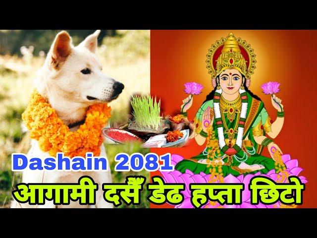 आगामी दसैँ डेढ हप्ता छिटो | Dashain 2081 | Happy Dashain 2081 Video | Dashain Song 208, Dashain 2081