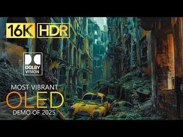 BEST Dolby Vision HDR 16K Video ULTRA HD 240 FPS