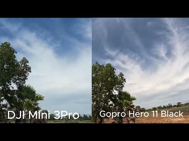 Comparison of Dji Mini3pro drone camera and Gopro Hero 11 Black #djimini3pro #goprohero11black