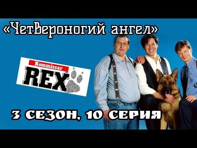 Комиссар Рекс, 3 сезон, 10 серия «Четвероногий ангел»