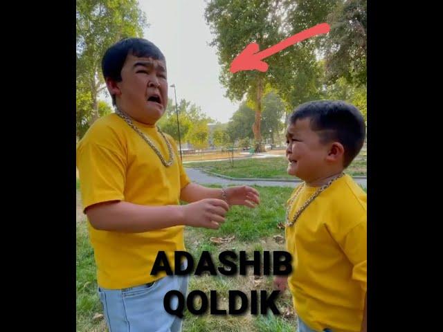 Adashib qoldikolti va Erik adashib qolishdi