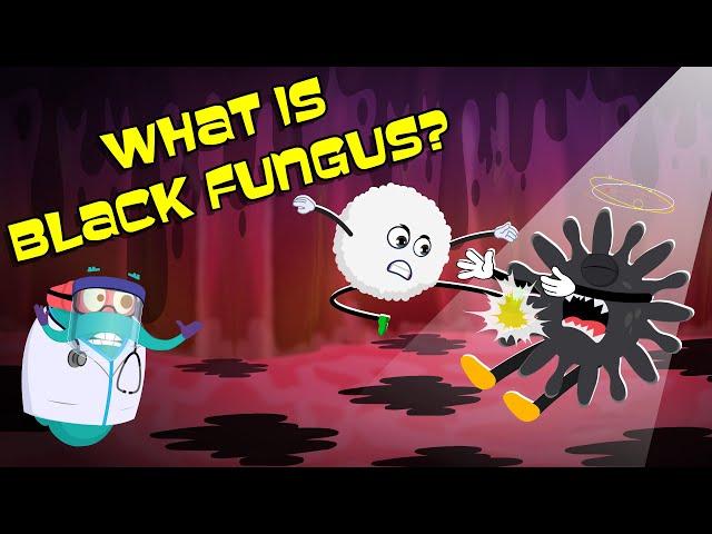 What Is Black Fungus? | Black Fungus Infection | The Dr Binocs Show | Peekaboo Kidz