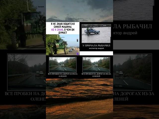#мем #рекомендации #мемы