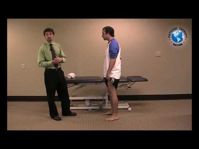 Knee Examination