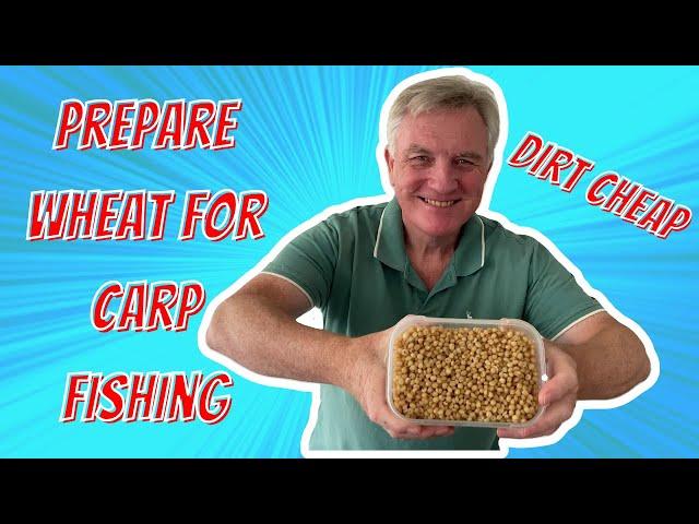 How to Prepare Wheat for Fishing - A Great Dirt Cheap Bait for Carp