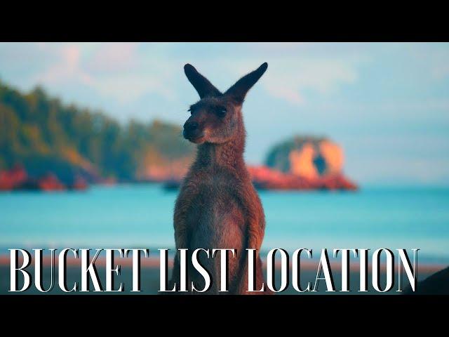 Bucket List Location, Cape Hillsborough Kangaroo's on the beach & more filmed in #4K Australia