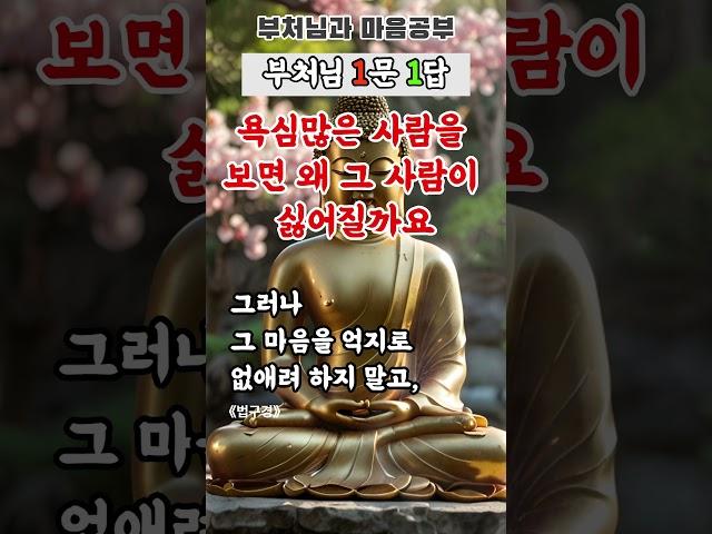 자비는 이해에서 시작됩니다그 사람을 미워하는 내 마음은 괜찮은가요? #부처님말씀  #법구경  #마음공부#마음수행 #비교심 #자비의눈