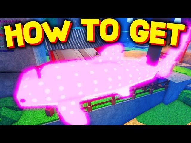 How TO GET WHALE SHARKS & SHARK HUNTS in FISCH! ROBLOX