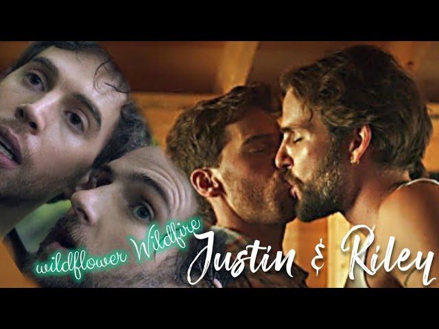 Justin & Riley | Wildfire wildflower | gay love story | the lake s1