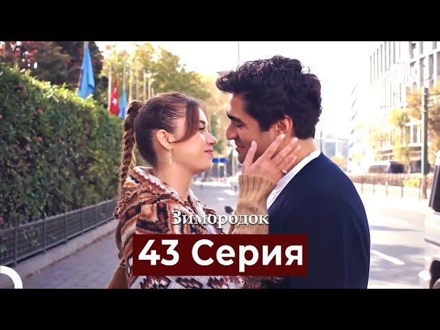 Зимородок 43 Cерия (Русский дубляж)