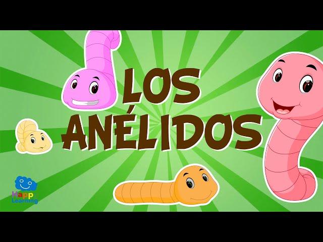 LOS ANÉLIDOS. Animales invertebrados | Vídeos educativos para niños